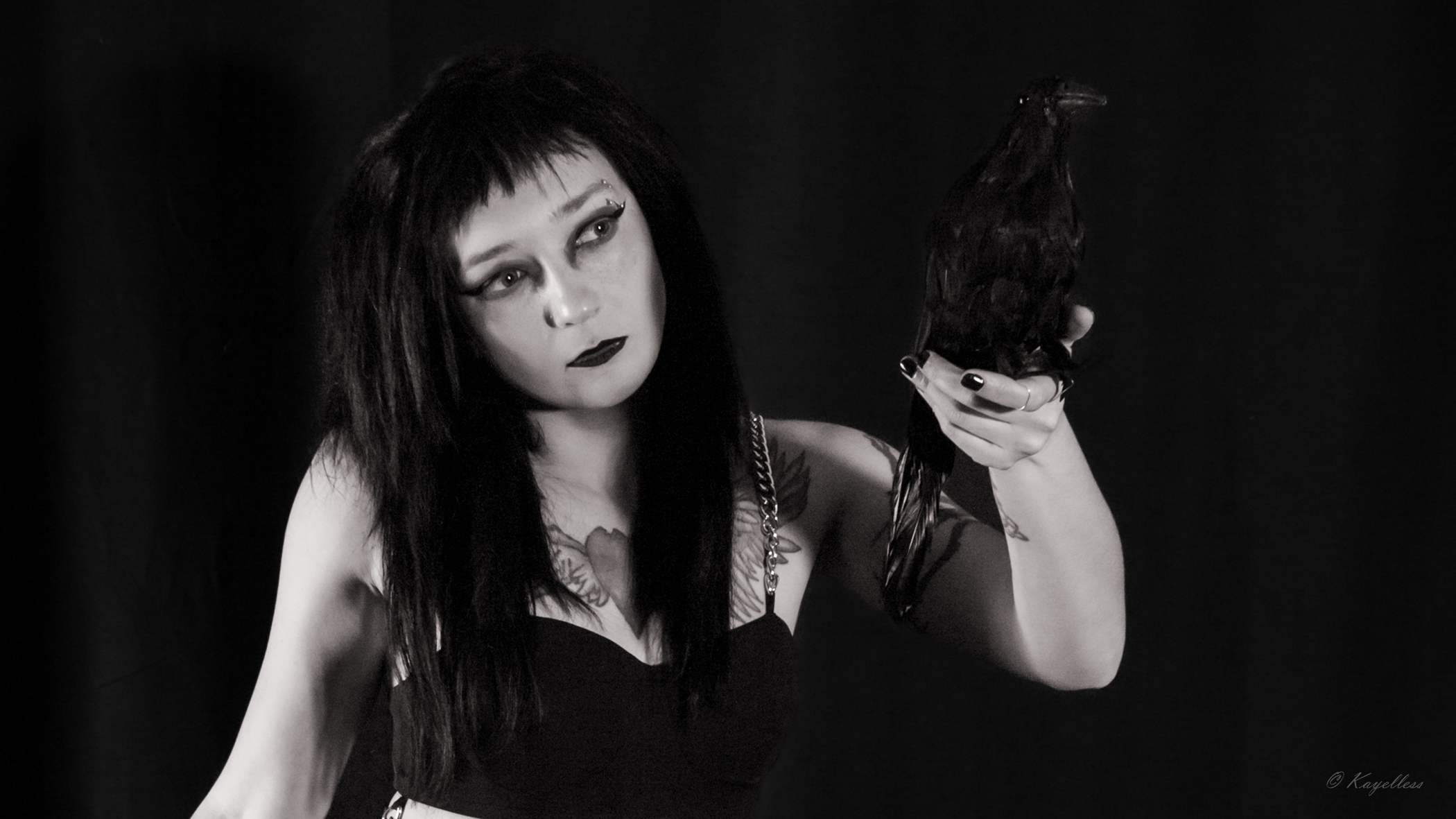 Lilly (header)